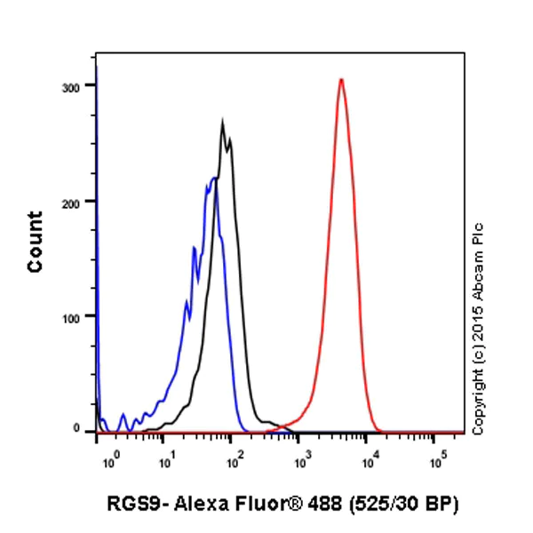 Flow Cytometry (Intracellular) - Anti-RGS9 antibody [EPR2873] - BSA and Azide free (AB247728)