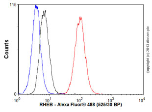 Flow Cytometry (Intracellular) - Anti-RHEB antibody [EPR2971] (ab92313), expandable thumbnail