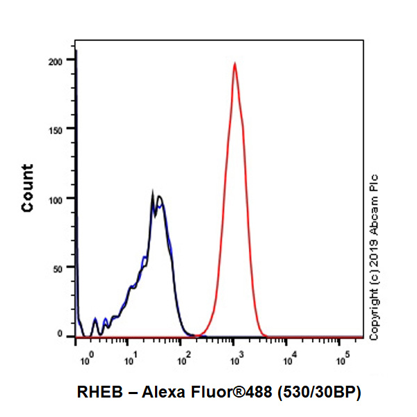 Flow Cytometry (Intracellular) - Anti-RHEB antibody [EPR2971] (AB92313), expandable thumbnail