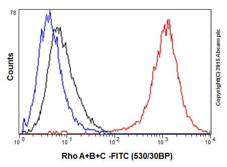 Flow Cytometry (Intracellular) - Anti-Rho A + B + C antibody [EPR18299] (AB188103)