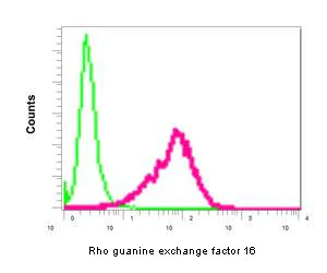 Flow Cytometry (Intracellular) - Anti-Rho guanine exchange factor 16/NBR antibody [EPR9950] (AB154785)