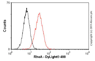 Flow Cytometry - Anti-RhoA antibody [1B12] (AB54835)