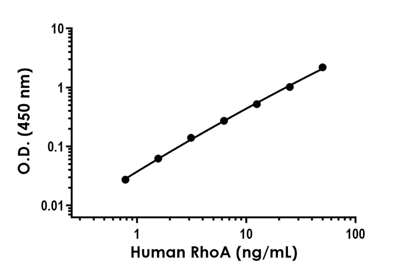 Sandwich ELISA - Anti-RhoA antibody [EPR18133-57] - BSA and Azide free (Capture) (AB285004)