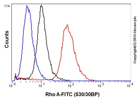 Flow Cytometry (Intracellular) - Anti-RhoA antibody [EPR18134] - Low endotoxin, Azide free (AB219371)