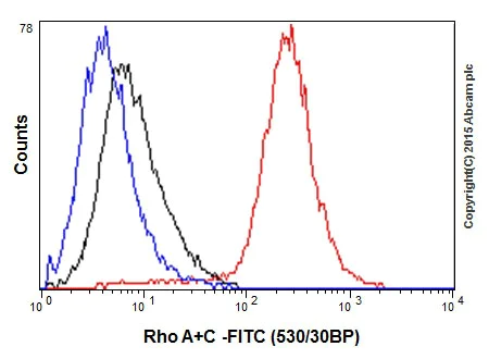 Flow Cytometry (Intracellular) - Anti-RhoA + RhoC antibody [EPR18133] - BSA and Azide free (AB238943)