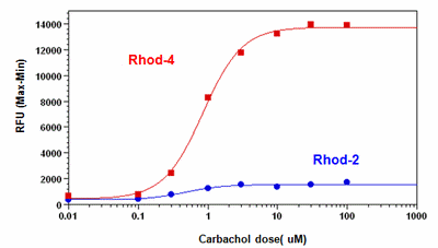 Functional Studies - Rhod-4 Calcium Assay Kit - No Wash (AB112157), expandable thumbnail