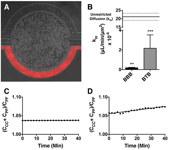 Conjugation - Rhodamine Conjugation Kit (Fast) - Lightning-Link® (AB188286)
