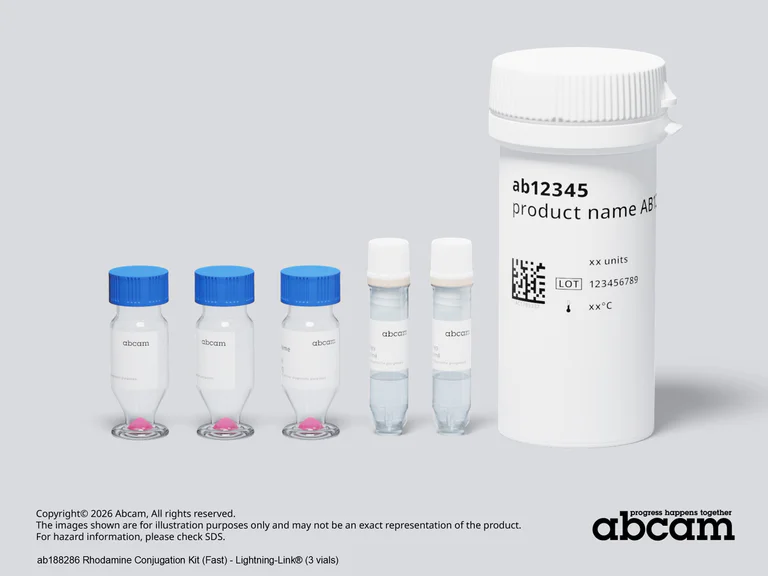 Other - Rhodamine Conjugation Kit (Fast) - Lightning-Link® (AB188286)