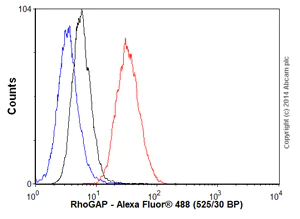 Flow Cytometry (Intracellular) - Anti-RhoGAP antibody [EP489Y] (AB32328)