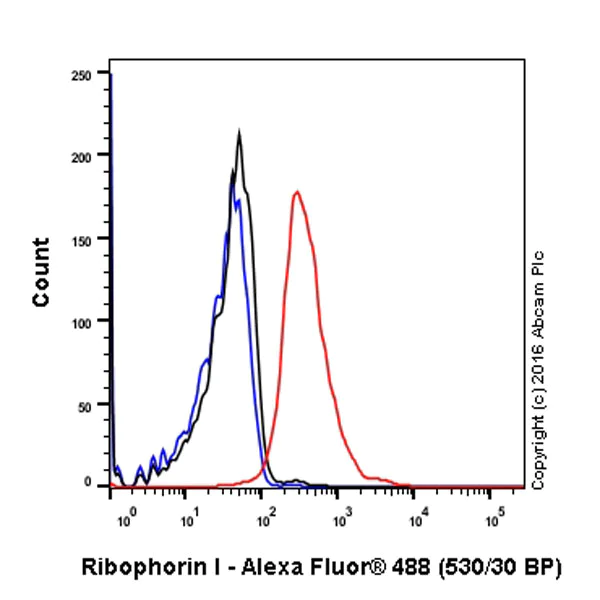 Flow Cytometry (Intracellular) - Anti-Ribophorin I antibody [EPR17043(B)] - BSA and Azide free (AB232599)