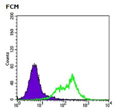 Flow Cytometry - Anti-RICTOR antibody [7B3] (AB104838)