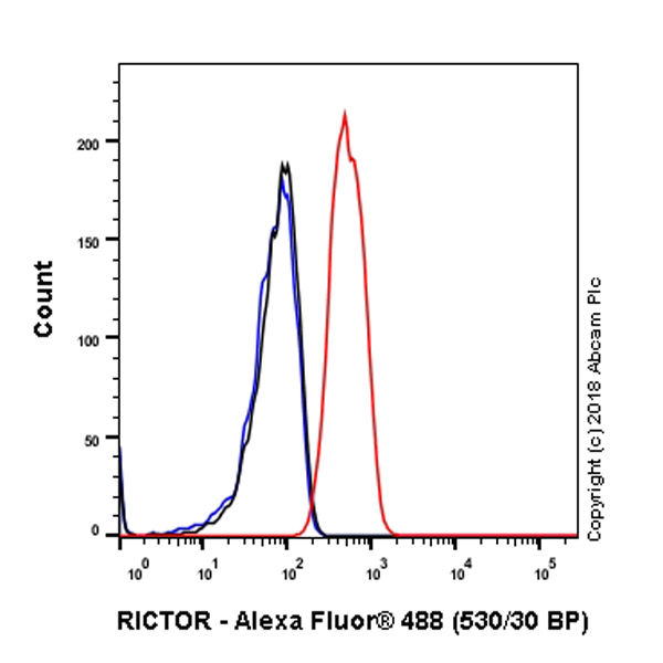 Flow Cytometry (Intracellular) - Anti-RICTOR antibody [EPR22008] - BSA and Azide free (AB235843)