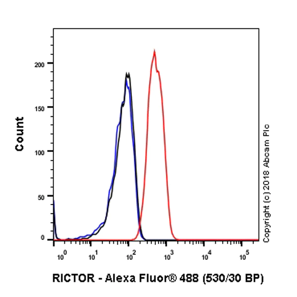 Flow Cytometry (Intracellular) - Anti-RICTOR antibody [EPR22008] - BSA and Azide free (AB235843)
