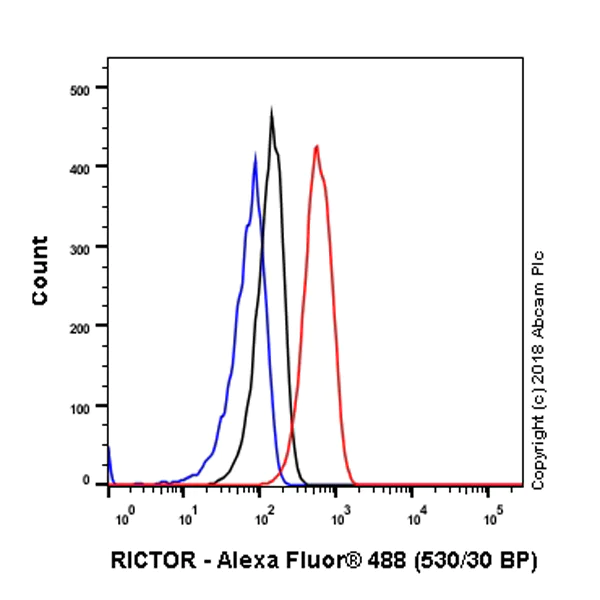 Flow Cytometry (Intracellular) - Anti-RICTOR antibody [EPR22008] - BSA and Azide free (AB235843)
