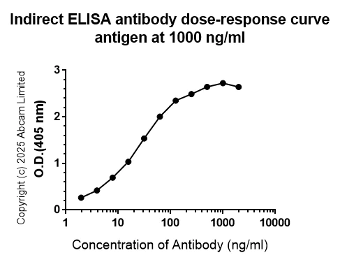 Indirect ELISA - Anti-Rift Valley Fever Virus Nucleoprotein antibody [AA11] (AB325011)