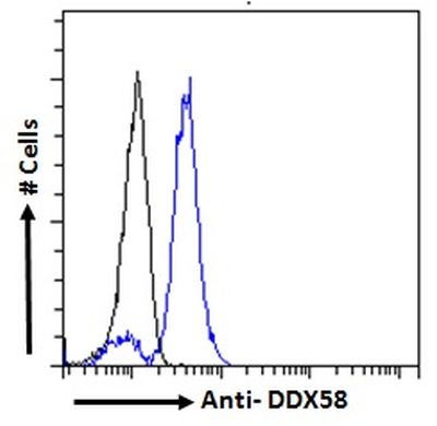 Flow Cytometry (Intracellular) - Anti-RIG-I/DDX58 antibody (AB238254), expandable thumbnail