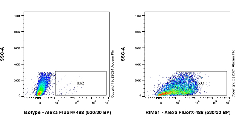 Flow Cytometry - Anti-RIM1 antibody [EPR29131-34] - BSA and Azide free (ab317328), expandable thumbnail