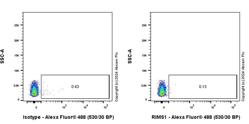 Flow Cytometry - Anti-RIM1 antibody [EPR29131-34] - BSA and Azide free (ab317328), expandable thumbnail