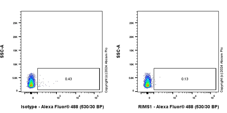 Flow Cytometry - Anti-RIM1 antibody [EPR29131-34] - BSA and Azide free (AB317328)