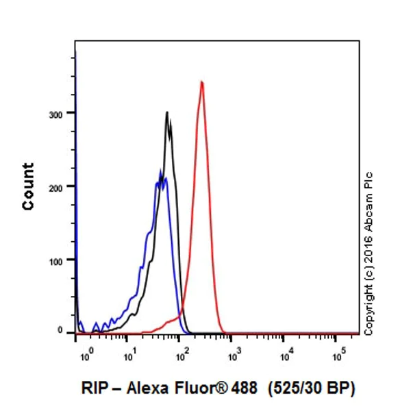 Flow Cytometry (Intracellular) - Anti-RIP antibody [EPR19697] - BSA and Azide free (AB238451)