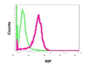 Flow Cytometry (Intracellular) - Anti-RIP antibody [EPR4689-100] - BSA and Azide free (AB227843)