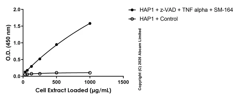 Sandwich ELISA - Anti-RIP (phospho S166) antibody [EPR25654-166] - BSA and Azide free (Capture) (AB327716)