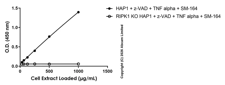 Sandwich ELISA - Anti-RIP (phospho S166) antibody [EPR25654-166] - BSA and Azide free (Capture) (AB327716)