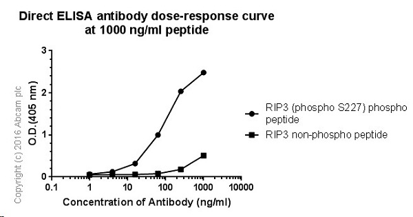 ELISA - Anti-RIP3 (phospho S227) antibody [EPR9627] - BSA and Azide free (AB240383), expandable thumbnail