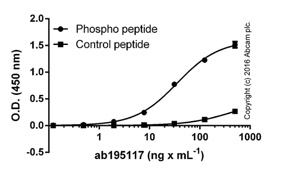 ELISA - Anti-RIP3 (phospho S232) antibody [EPR9516(N)-25] (AB195117)