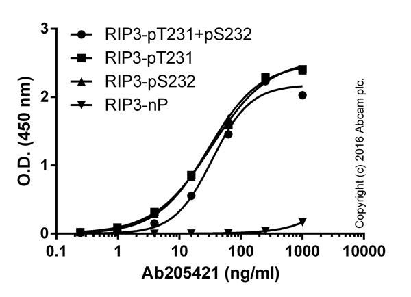 ELISA - Anti-RIP3 (phospho T231 + S232) antibody [2D7] (AB205421), expandable thumbnail