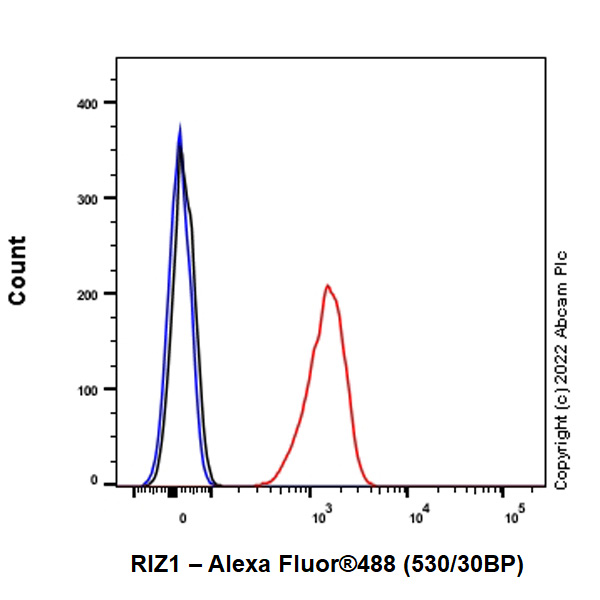 Flow Cytometry (Intracellular) - Anti-Riz1 antibody [EPR25164-34] - BSA and Azide free (ab305106), expandable thumbnail