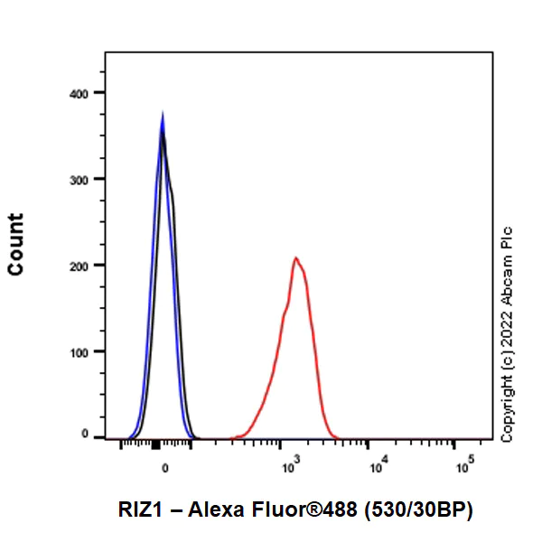 Flow Cytometry (Intracellular) - Anti-Riz1 antibody [EPR25164-34] - BSA and Azide free (AB305106)