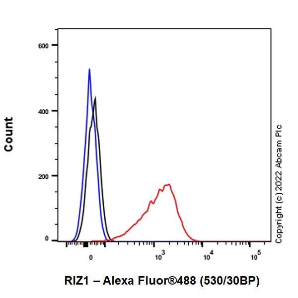 Flow Cytometry (Intracellular) - Anti-Riz1 antibody [EPR25164-34] - BSA and Azide free (ab305106), expandable thumbnail
