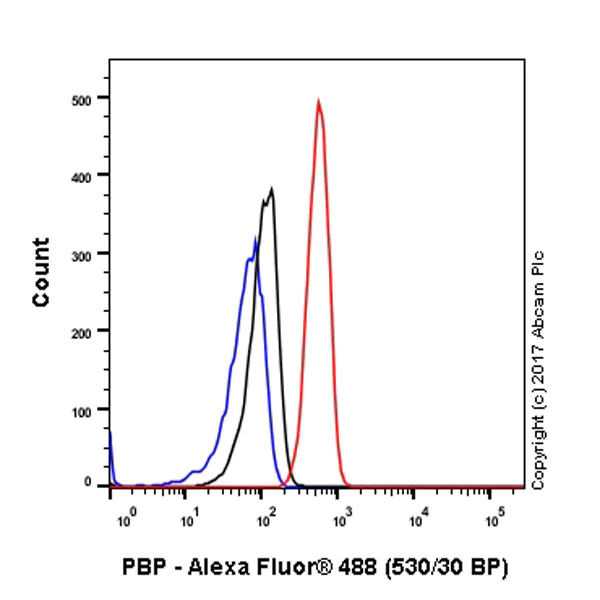 Flow Cytometry (Intracellular) - Anti-RKIP antibody [EPR2875Y] (AB76582)
