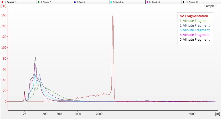 Electrophoresis - RNA Fragmentation Reagent Kit (AB323459), expandable thumbnail