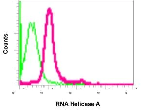 Flow Cytometry (Intracellular) - Anti-RNA Helicase A antibody [EPR13520(B)] - N-terminal (AB180189)