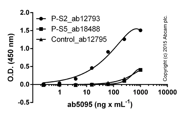 ELISA - Anti-RNA polymerase II CTD repeat YSPTSPS (phospho S2) antibody (AB5095)
