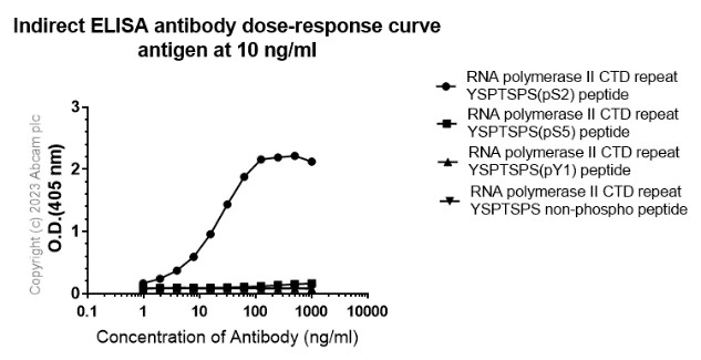 Indirect ELISA - Anti-RNA polymerase II CTD repeat YSPTSPS (phospho S2) antibody [EPR18855] - BSA and Azide free (ab238450), expandable thumbnail