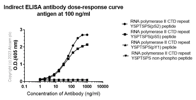 Indirect ELISA - Anti-RNA polymerase II CTD repeat YSPTSPS (phospho S2) antibody [EPR18855] - BSA and Azide free (AB238450)