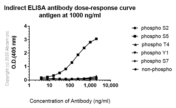 Indirect ELISA - Anti-RNA polymerase II CTD repeat YSPTSPS (phospho S5) antibody [3E8] - BSA and Azide free (AB255846)