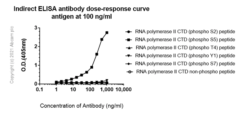 Indirect ELISA - Anti-RNA polymerase II CTD repeat YSPTSPS (phospho S5) antibody [4H8] - BSA and Azide free (AB264109)