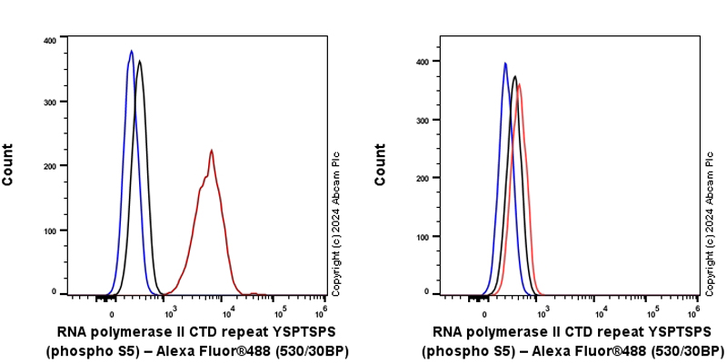 Flow Cytometry (Intracellular) - Anti-RNA polymerase II CTD repeat YSPTSPS (phospho S5) antibody [RM1152] (AB317456), expandable thumbnail