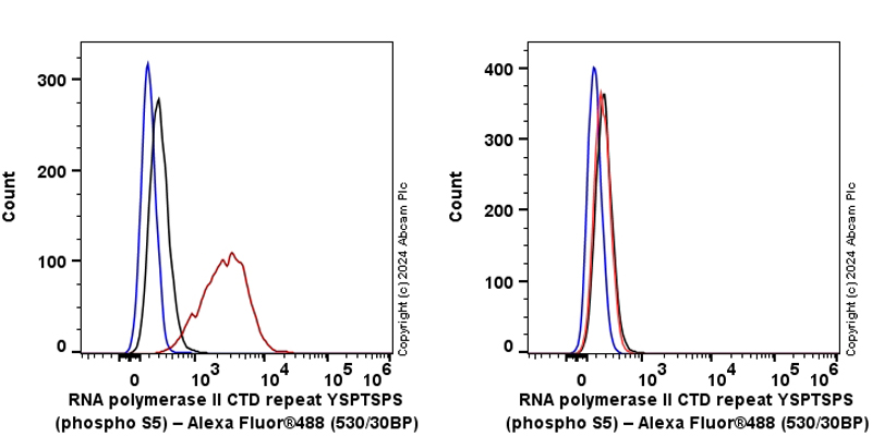 Flow Cytometry (Intracellular) - Anti-RNA polymerase II CTD repeat YSPTSPS (phospho S5) antibody [RM1152] (AB317456), expandable thumbnail