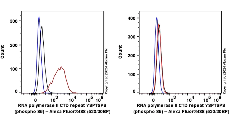 Flow Cytometry (Intracellular) - Anti-RNA polymerase II CTD repeat YSPTSPS (phospho S5) antibody [RM1152] (AB317456)