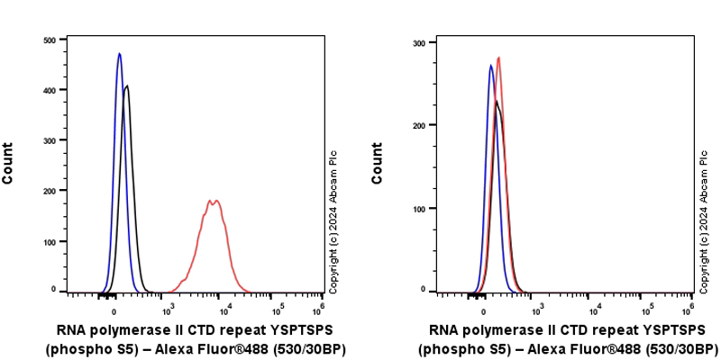 Flow Cytometry (Intracellular) - Anti-RNA polymerase II CTD repeat YSPTSPS (phospho S5) antibody [RM1152] (AB317456), expandable thumbnail