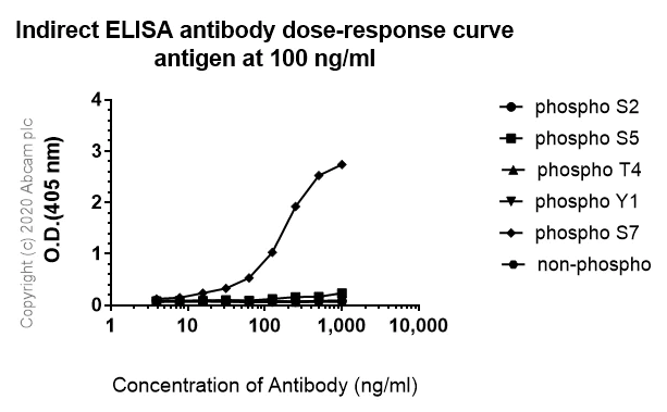 Indirect ELISA - Anti-RNA polymerase II CTD repeat YSPTSPS (phospho S7) antibody [4E12] - BSA and Azide free (AB255847)