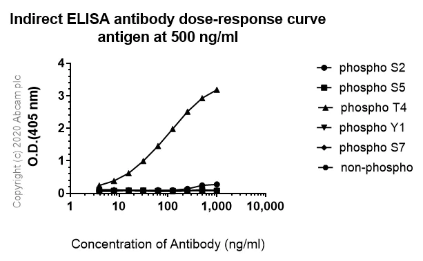 Indirect ELISA - Anti-RNA polymerase II CTD repeat YSPTSPS (phospho T4) antibody [6D7] (AB252851)