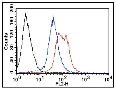 Functional Studies - RNA Synthesis Assay Kit (AB228561)