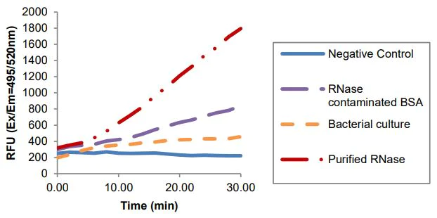 Functional Studies - RNase Activity Assay Kit (Fluorometric) (AB273299)