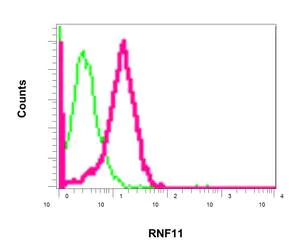 Flow Cytometry (Intracellular) - Anti-RNF11 antibody [EPR6820] (AB154831)